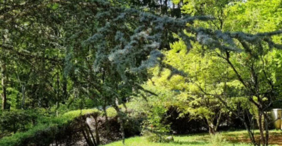 Bassins - Un lieu à part