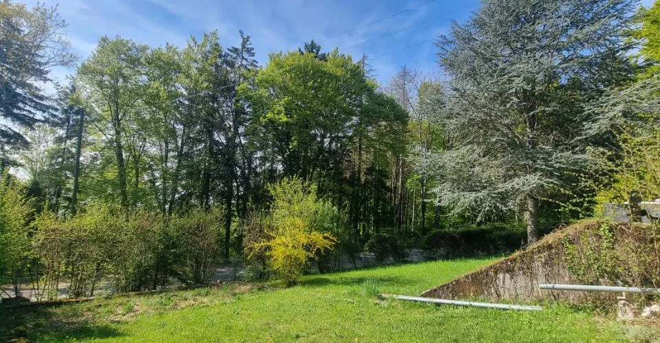 Bassins - Un lieu à part