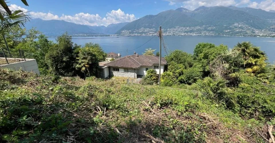 Terreno edificabile con licenza di costruzione in vendita a Gambarogno  unopportunità unica nel verde del Ticino