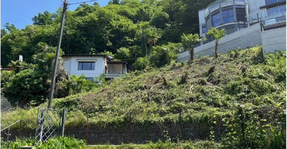 Terreno edificabile con licenza di costruzione in vendita a Gambarogno  unopportunità unica nel verde del Ticino