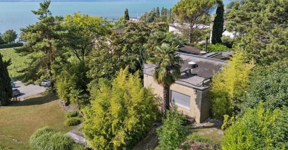 Lieu insaisissable, jardin libre, ici la nature reprend ses droits