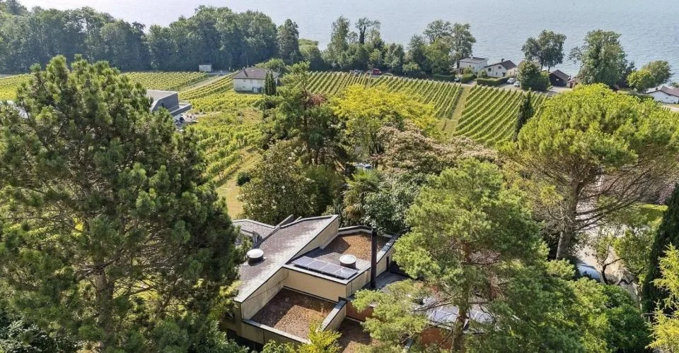 Lieu insaisissable, jardin libre, ici la nature reprend ses droits