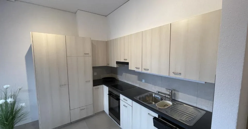 Magnifique duplex lumineux avec mezzanine 4.5 pièces de 100 m²