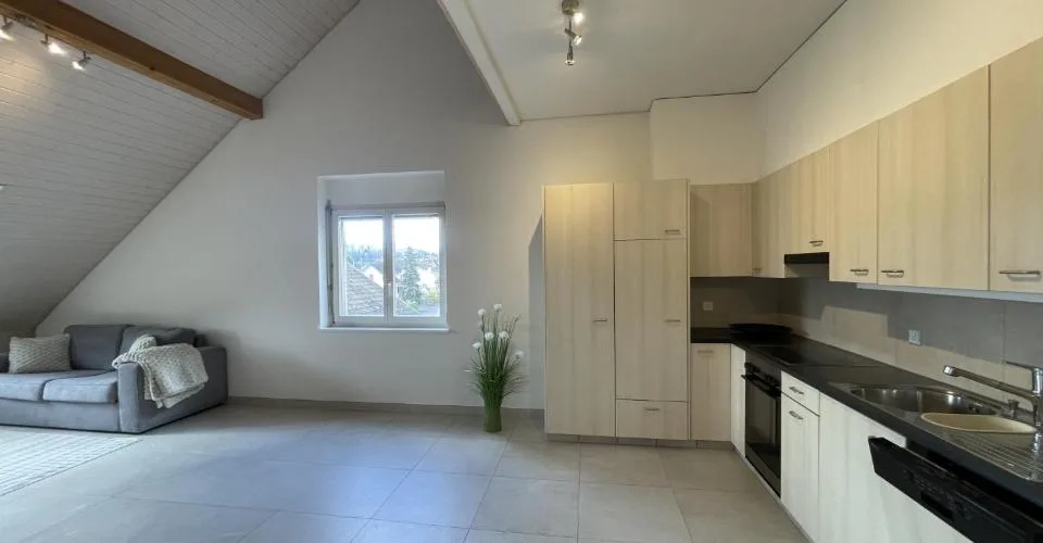 Magnifique duplex lumineux avec mezzanine 4.5 pièces de 100 m²
