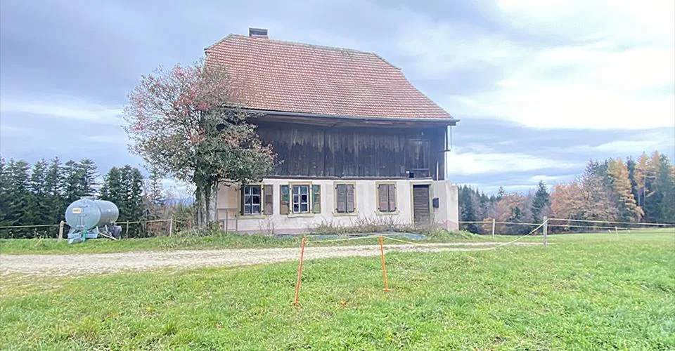 CHÂTONNAYE - FERME AVEC POTENTIEL IMPORTANT - 7.5 PIECES