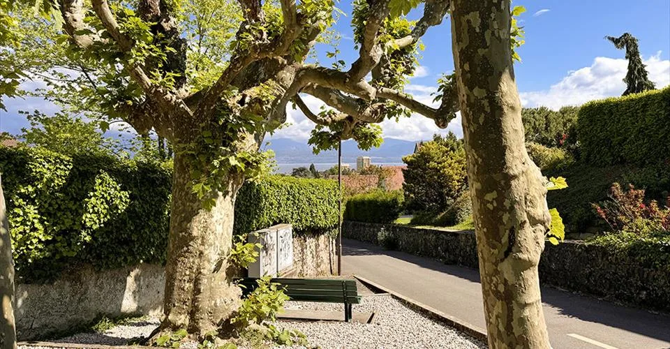 ENTRE MORGES ET LAUSANNE - MAISON RENOVEE AVEC PISCINE