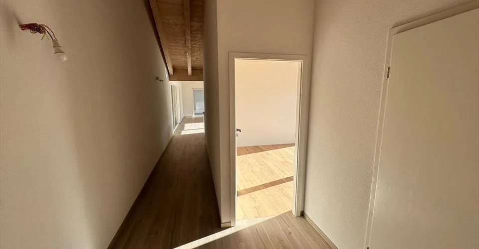 Appartement de 4 1/2 et studio à vocation commerciale