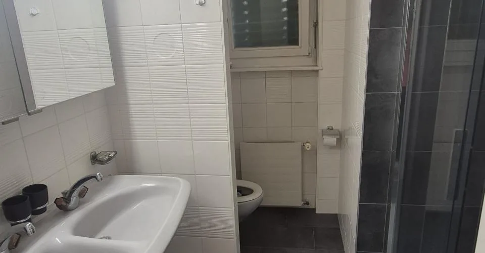 Appartement de 3.5 pces avec vue magique sur le Léman, à Chernex sur Montreux(VD)
