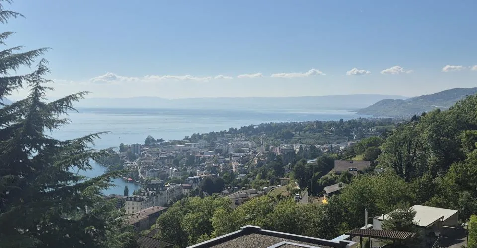 Appartement de 3.5 pces avec vue magique sur le Léman, à Chernex sur Montreux(VD)