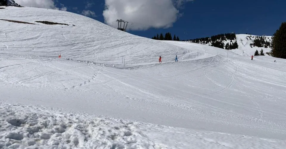 A Vendre Parcelle Ski in Ski out Les Portes du Soleil Champoussin