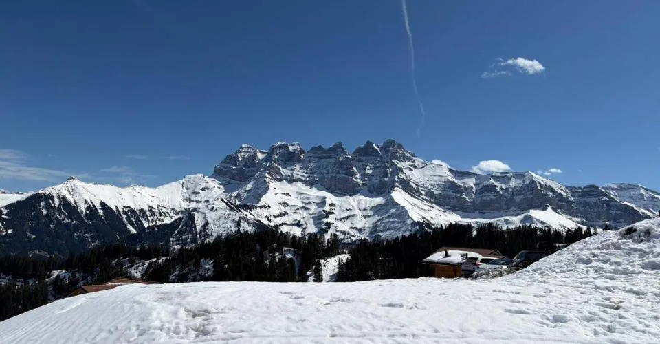 A Vendre Parcelle Ski in Ski out Les Portes du Soleil Champoussin