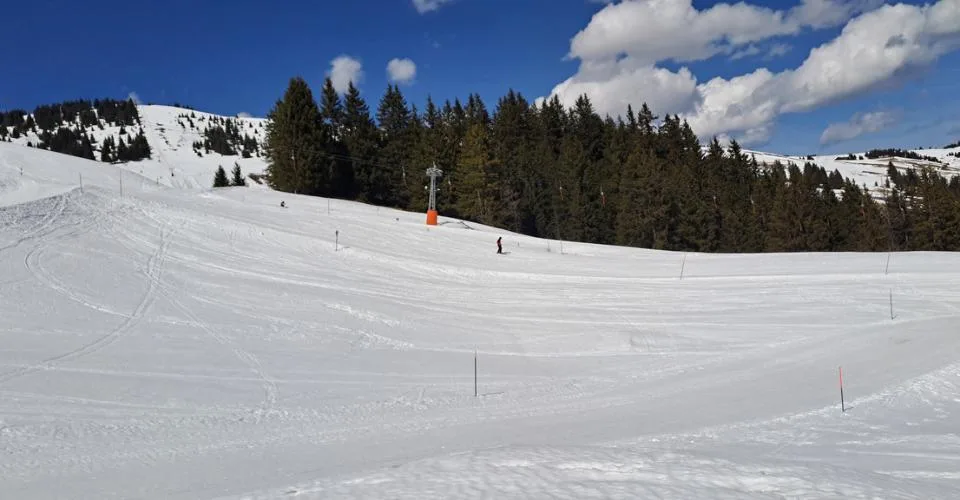 A Vendre Parcelle Ski in Ski out Les Portes du Soleil Champoussin