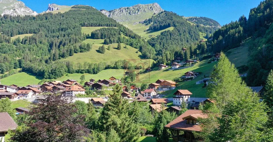 Magnifique chalet sur plan à Jaun
