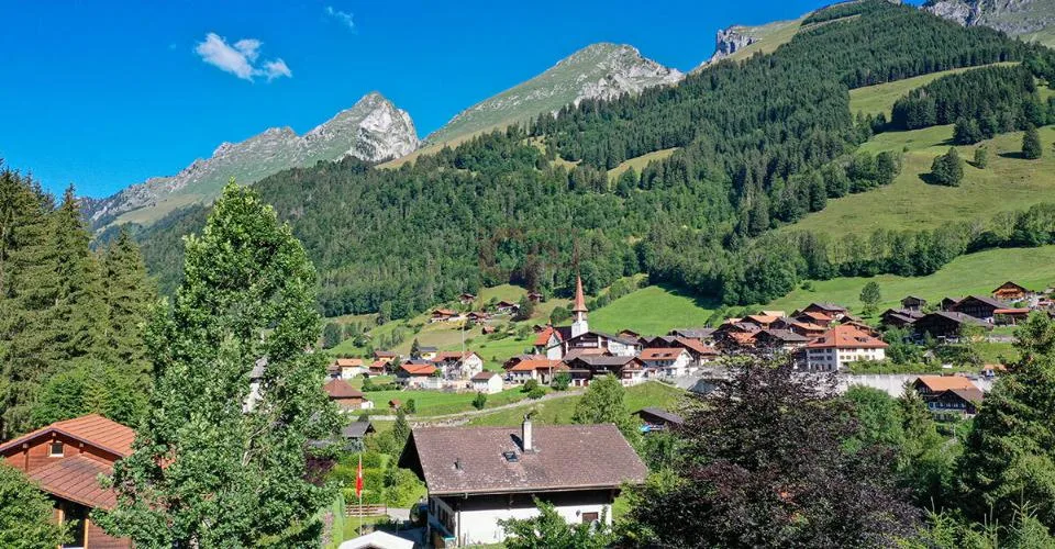 Magnifique chalet sur plan à Jaun