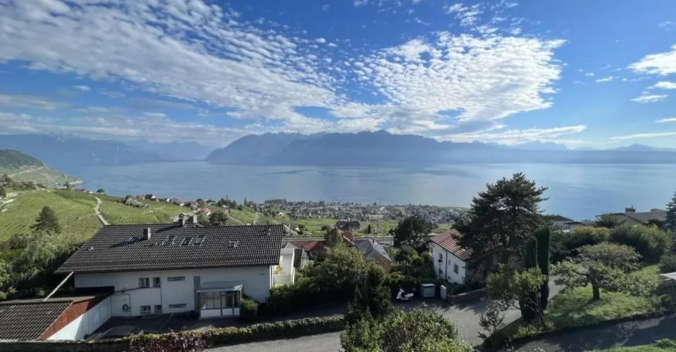 Villa jumelle de 5.5 pièces avec vue panoramique – foto 7 di 13