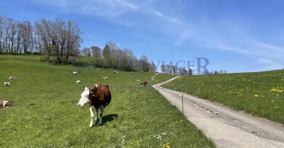 VIAGER. Châtel-St-Denis, Appartement au calme, jardin PPE 2034m2