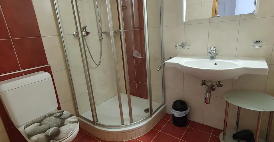 Spacieux appartement de 2.5 pièces à Ovronnaz/VS – foto 9 di 14