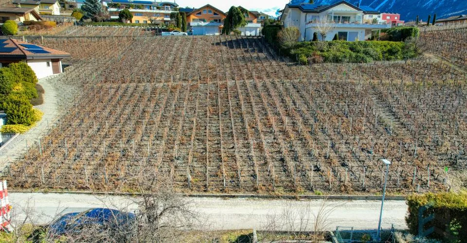 EXCLUSIVITE Splendide terrain à bâtir de 804m² à Miège (Noble-Contrée) – foto 2 di 8