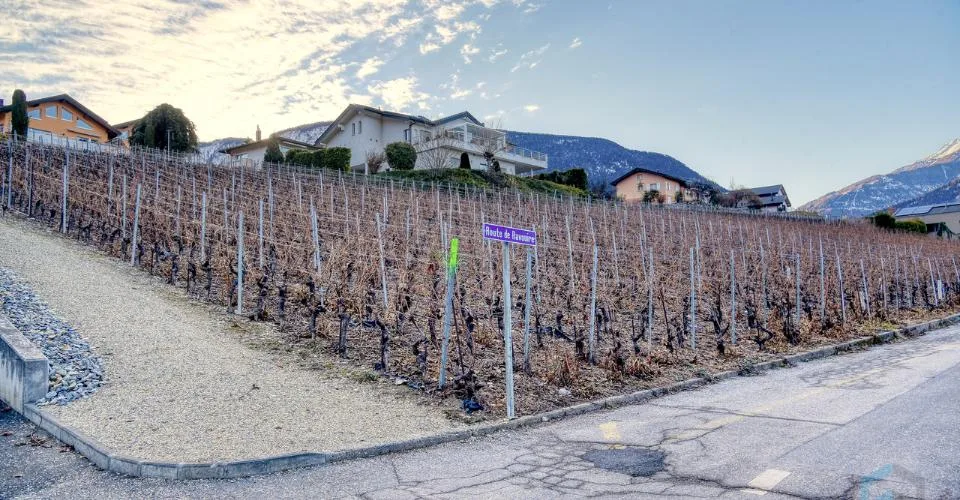 EXCLUSIVITE Splendide terrain à bâtir de 804m² à Miège (Noble-Contrée) – foto 7 di 8