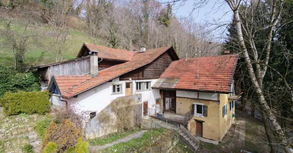 Charmante ferme de 3 appartements + annexes à rénover !
