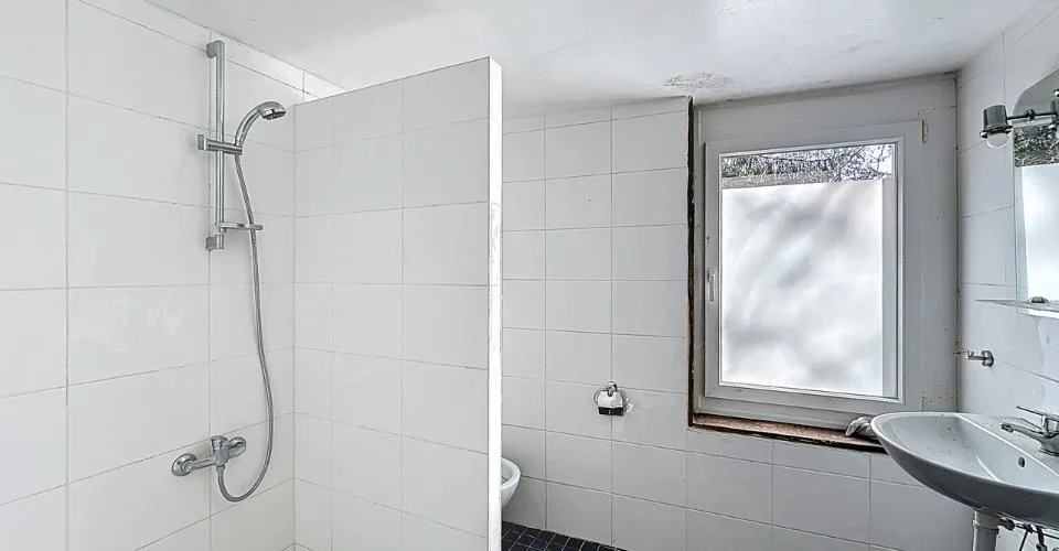 Charmante ferme de 3 appartements + annexes à rénover !