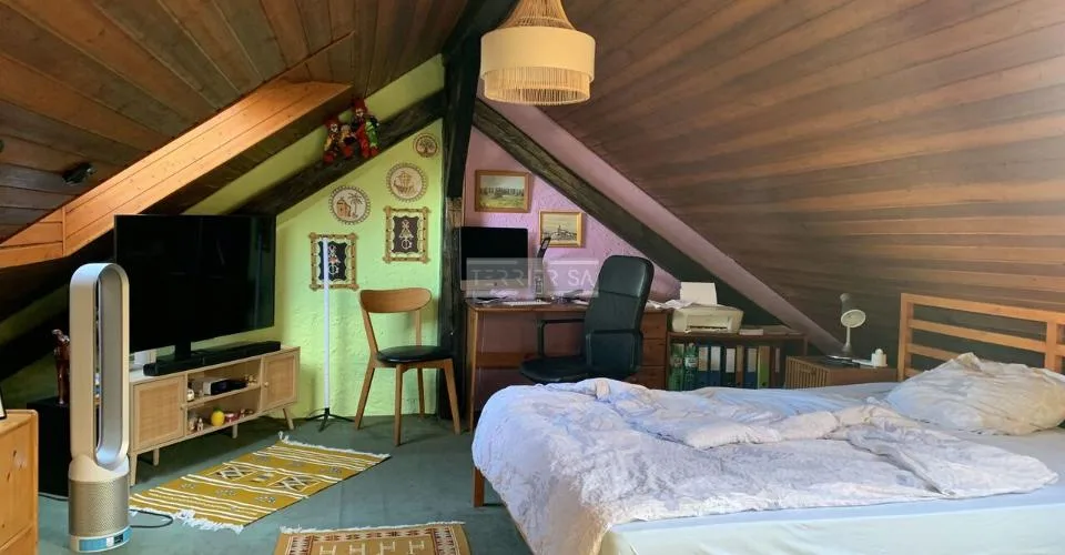 Immeuble de rendement avec 3 appartements, bureau, garage-hangar et jardin