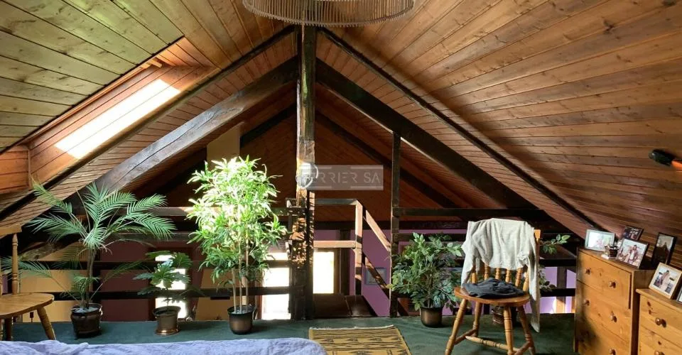 Immeuble de rendement avec 3 appartements, bureau, garage-hangar et jardin
