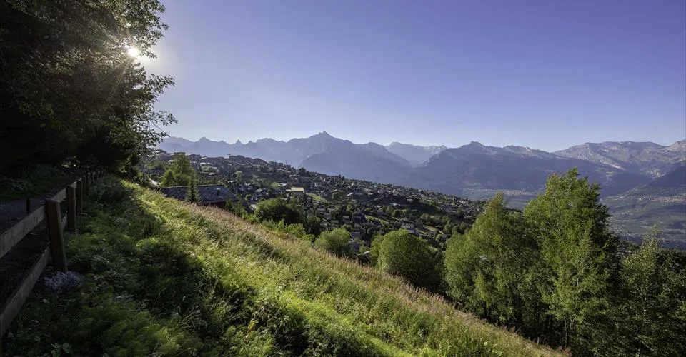 Deux terrains constructibles, libres de mandat avec accès au Bisse – photo 6 sur 12