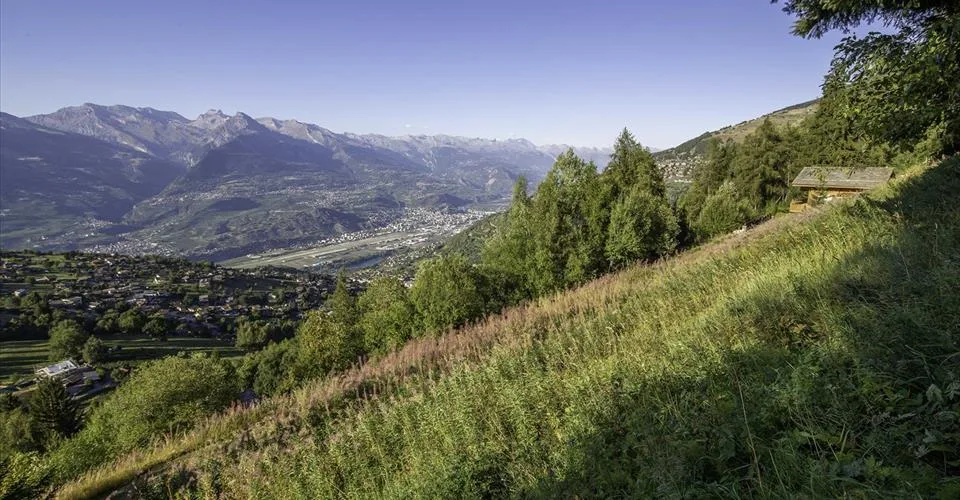 Deux terrains constructibles, libres de mandat avec accès au Bisse – photo 7 sur 12