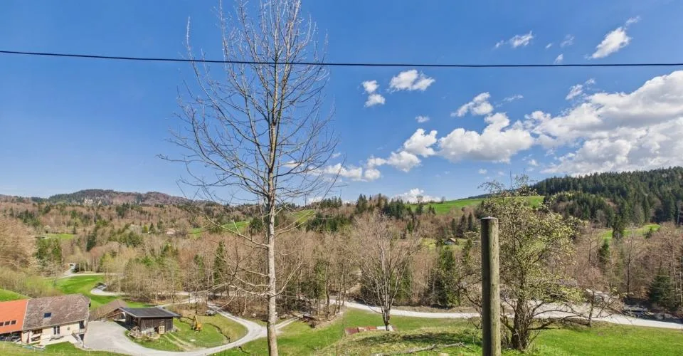 Maison à démolir avec projet de construction approuvé à vendre