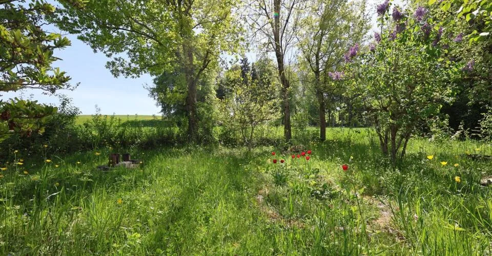 En exclusivité - Maison de charme de 7.5 pièces avec parcelle de 2'000 m2 – Foto 6 von 13