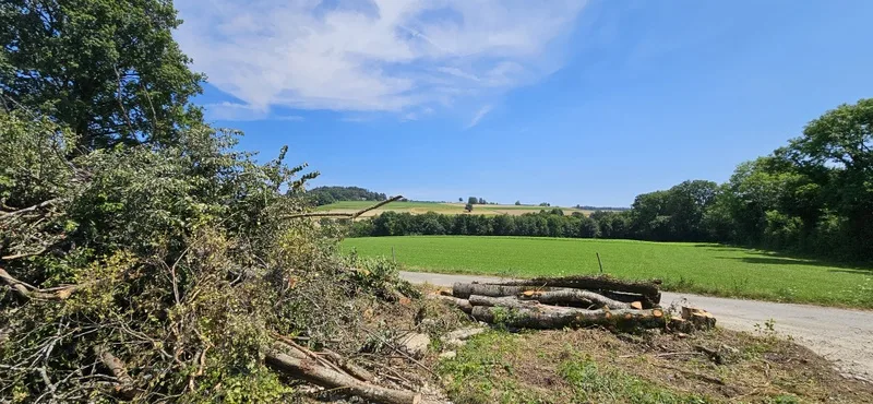 NOUVEAU PRIX !! Projet de 2 villas de 6 pièces Minergie