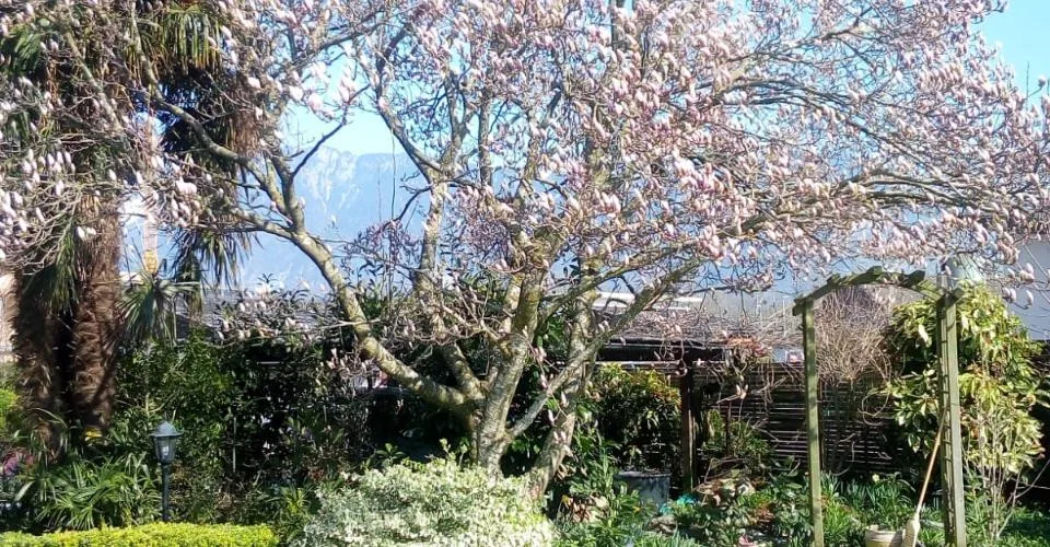 Villa de 8,5 pièces à Vendre au Bouveret