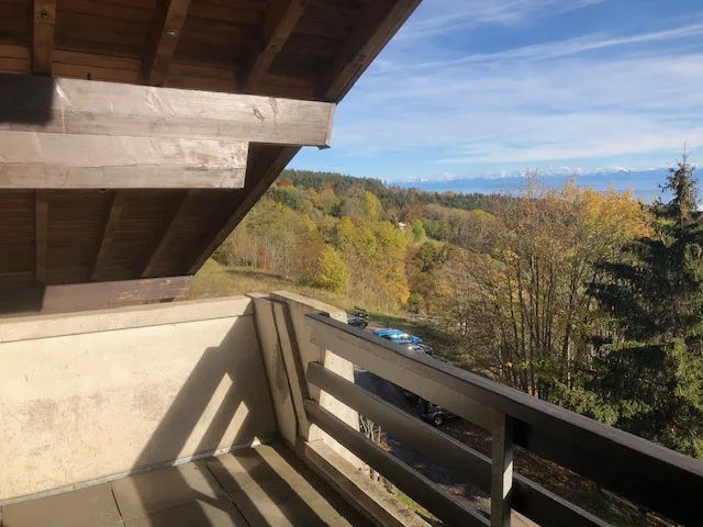 Bel appartement de 2,5 pièces avec mezzanine