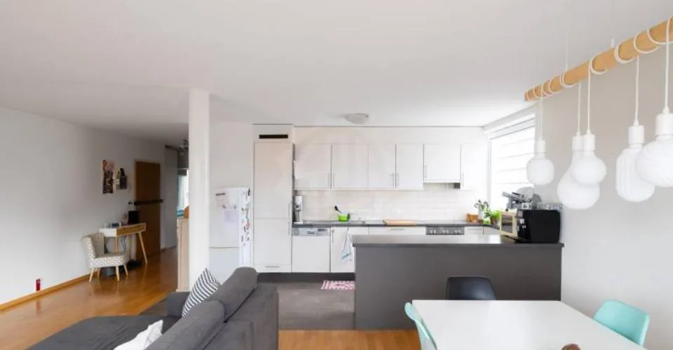 Charmant appartement - Plan-les-Ouates