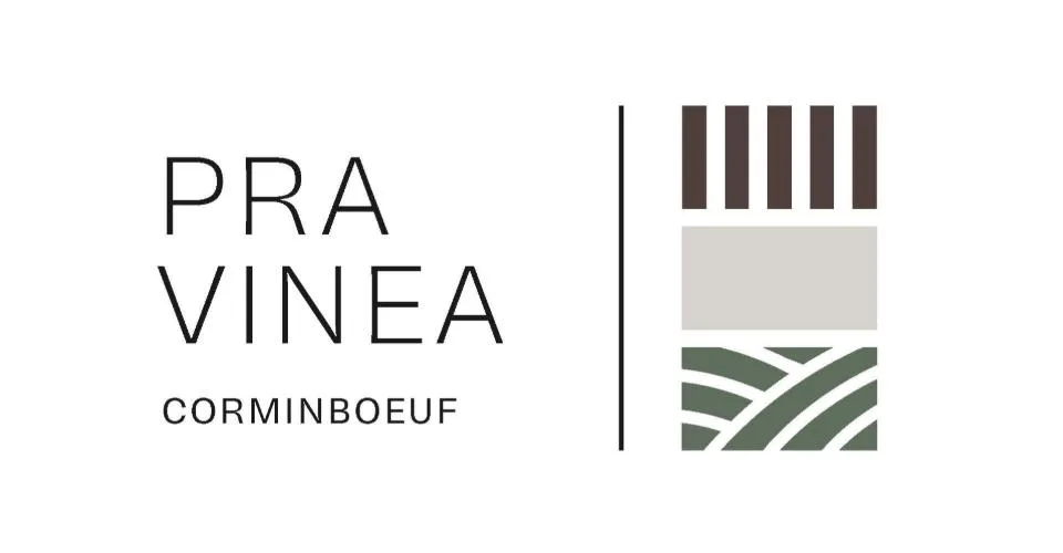 Architecture et beaux volumes | Villa C du projet Pra Vinea à Corminboeuf – photo 8 sur 32