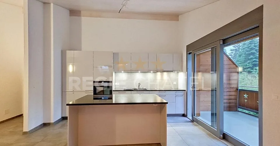 Magnifique 2.5pces avec 2 balcons dans les combles