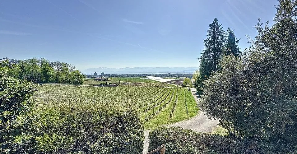 Charmant maison à côté du Château de Coinsins