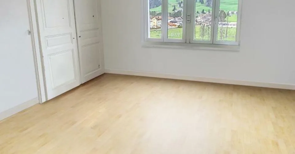 Spacious 4.5-room apartment close to the village center