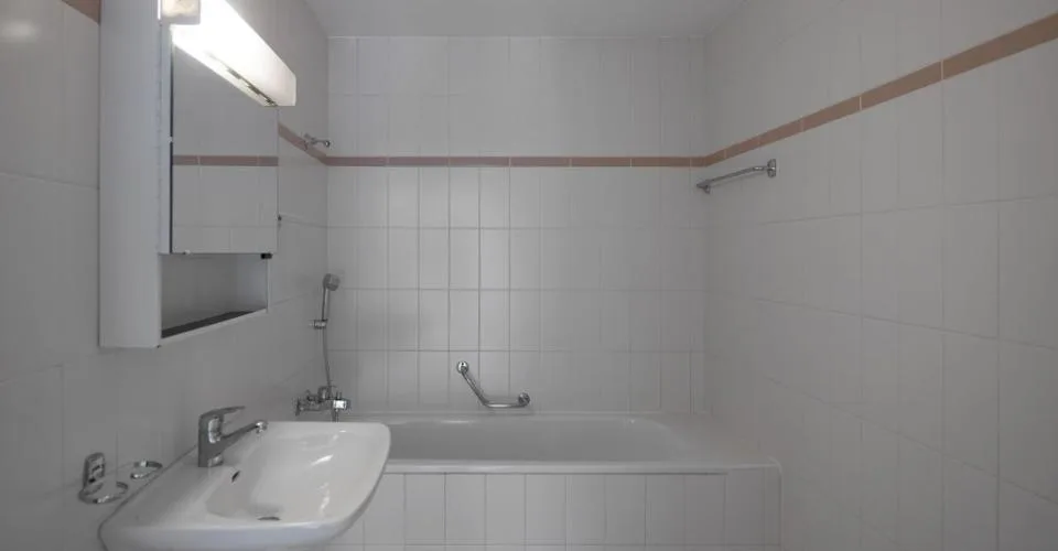 Grand 3.5 pièces dans un quartier calme en cours de rafraîssement