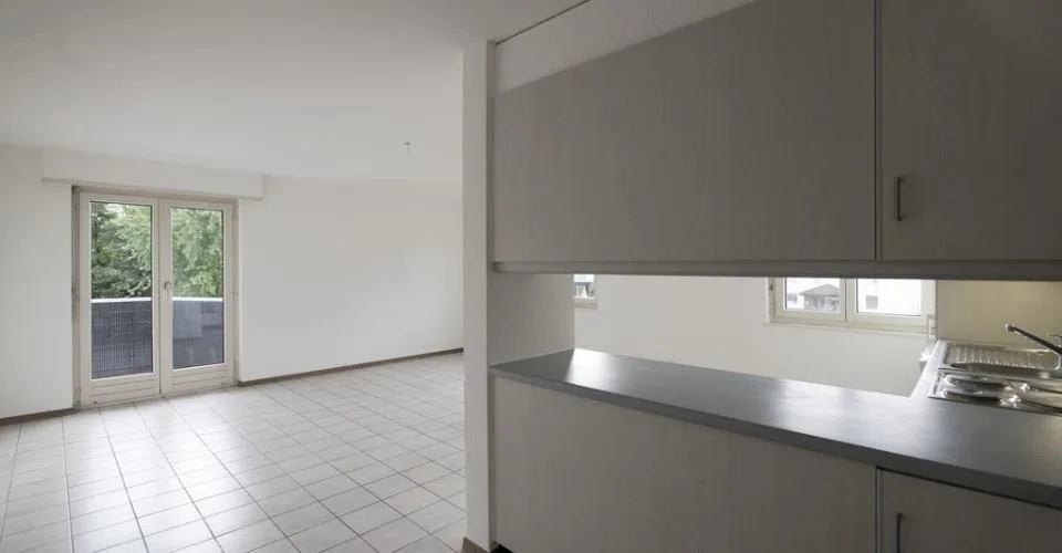 Grand 3.5 pièces dans un quartier calme en cours de rafraîssement