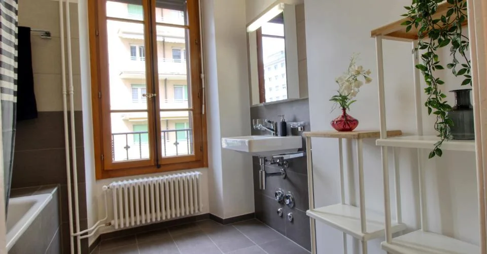 Magnifique appartement meublé en colocation, hypercentre de Genève