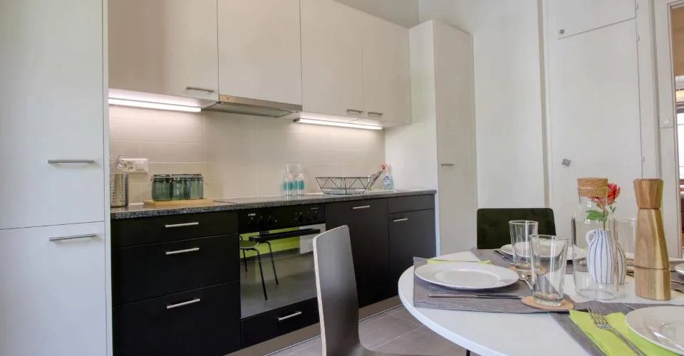 Magnifique appartement meublé en colocation, hypercentre de Genève