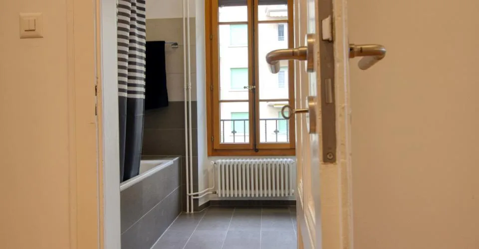 Magnifique appartement meublé en colocation, hypercentre de Genève