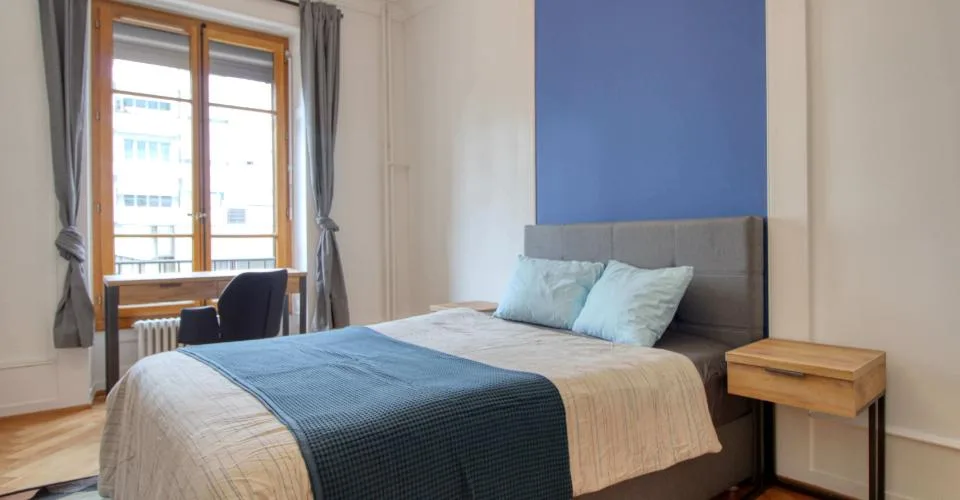 Magnifique appartement meublé en colocation, hypercentre de Genève