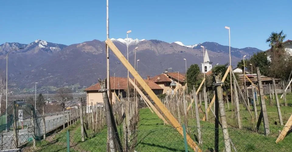 Villa individuelle en construction prochaine à Cadenazzo dans un nouveau complexe résidentiel