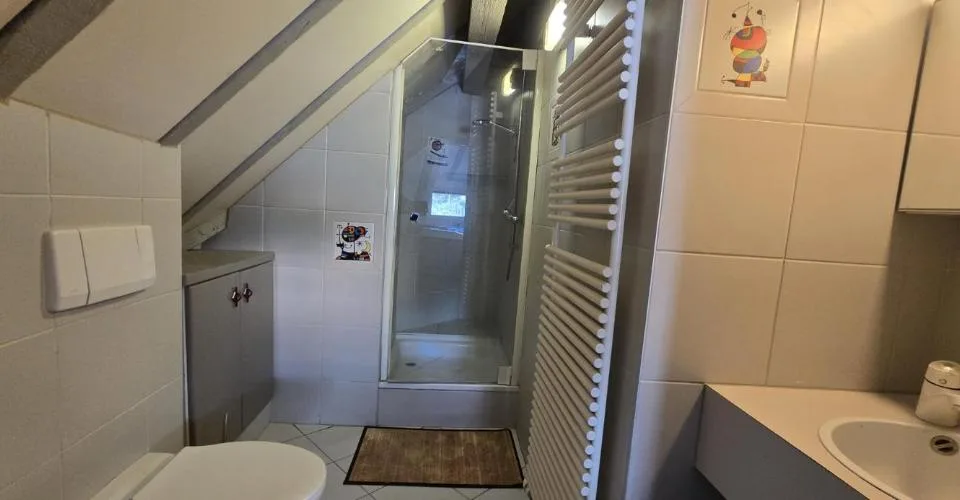 Villa de Maître 8.5 pièces de 712m2 au coeur de Sion