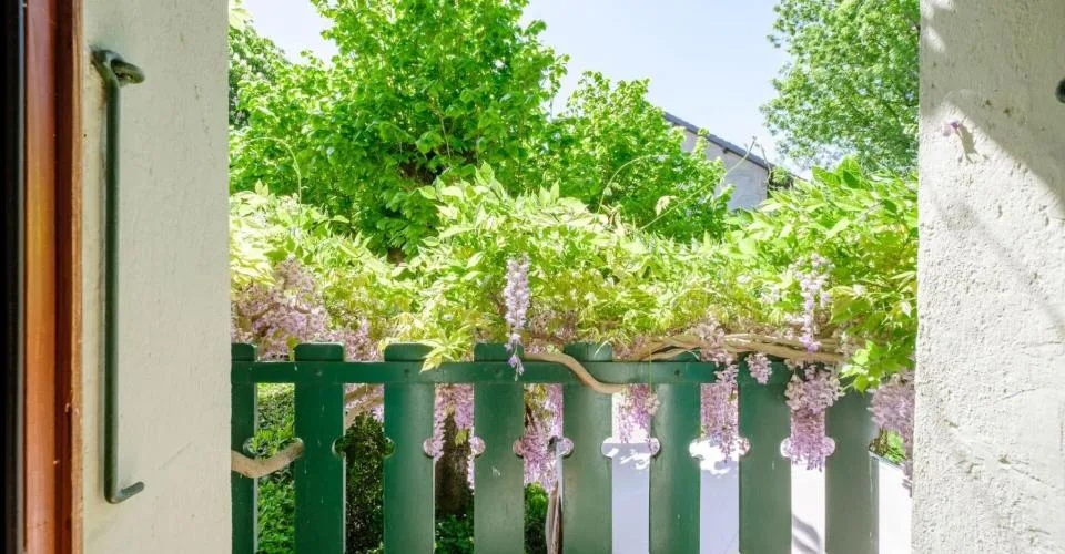 Maison de village avec cachet et grand jardin