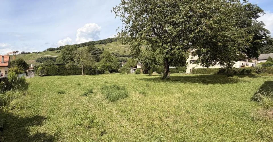 Terrain avec projet à vendre à Bex