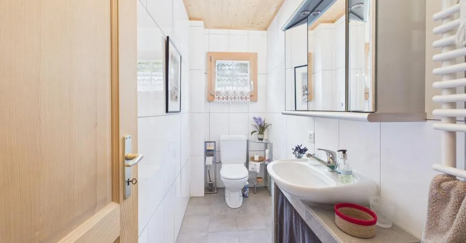 Superbe chalet à vendre à Rossinière – photo 5 sur 26